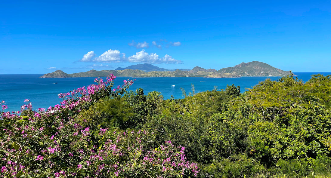 Between Italy and the Caribbean: A Journey of Color, Culture, and Heart.
