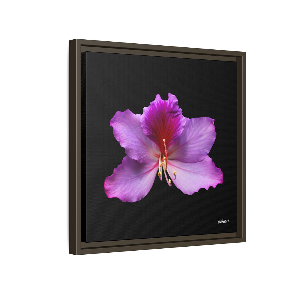 Listening Petals Framed - 16X16