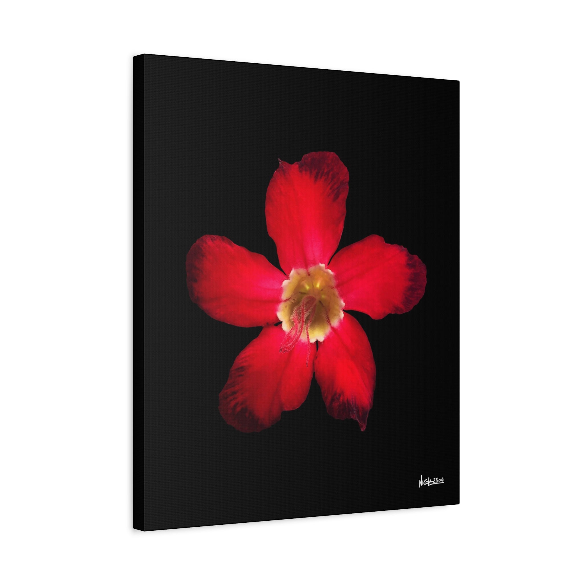 Passion in Bloom - 20X24