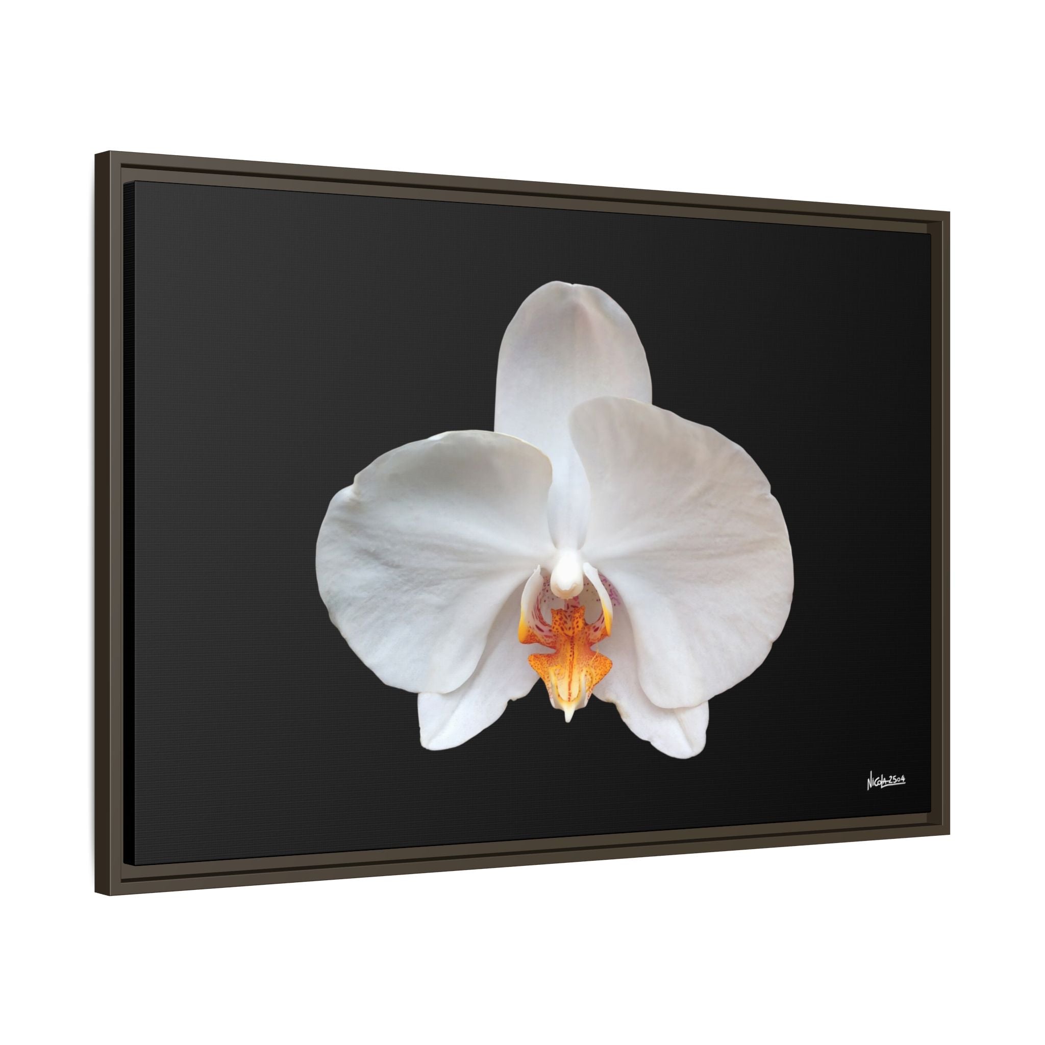 Whispers of the Unseen Framed - 36X24