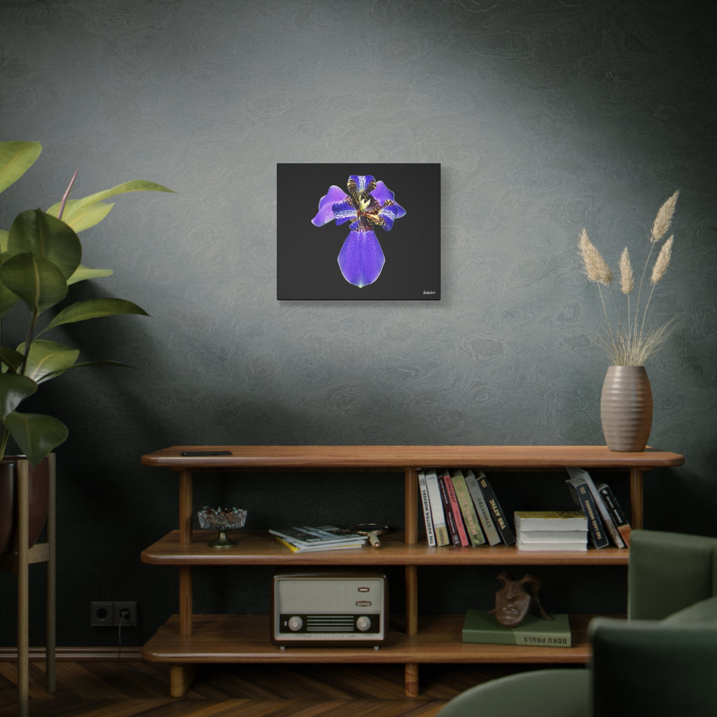 Gift of the Wait - 24X20