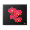 Legacy in Bloom Framed - 24X20