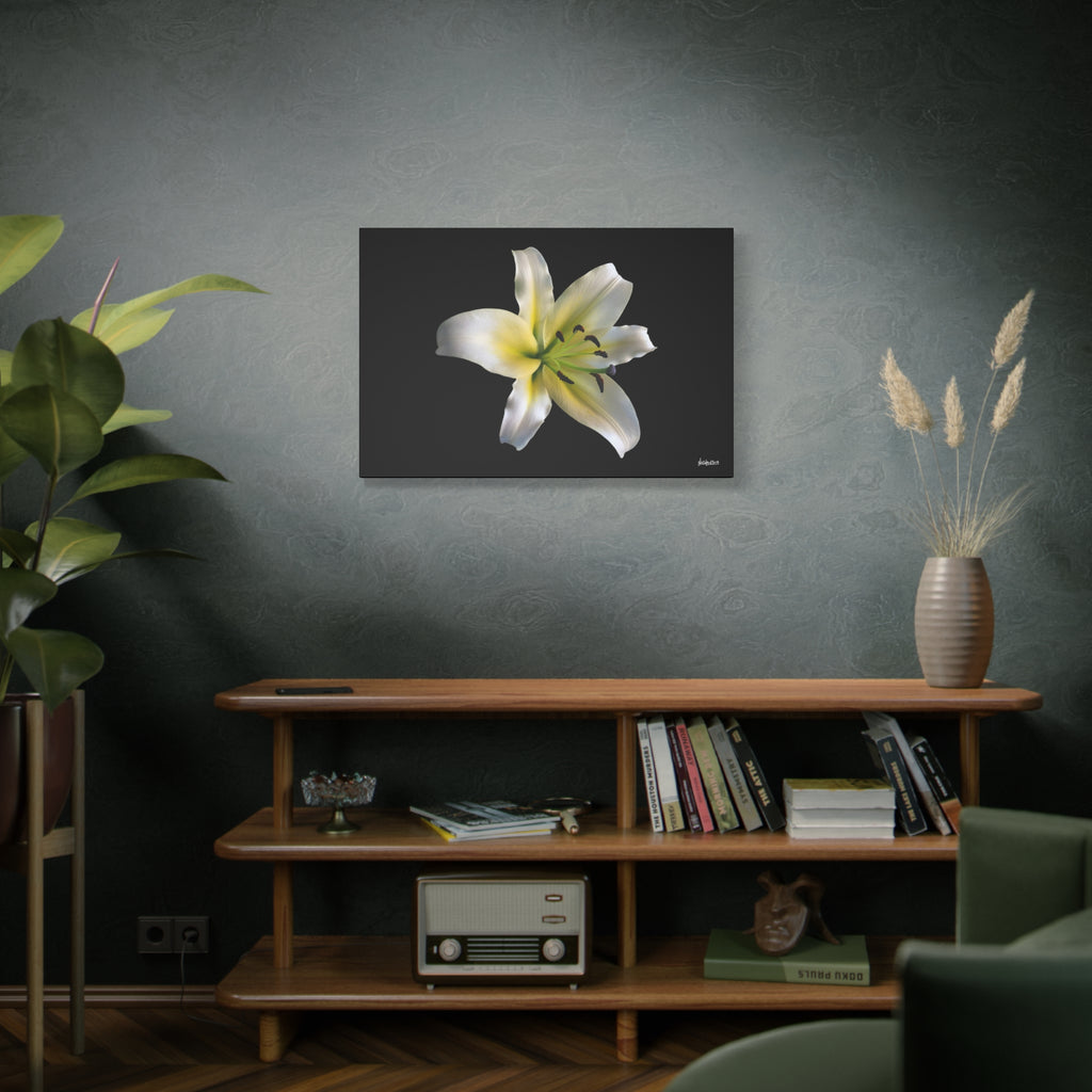 Nature's Paradise - 36X24