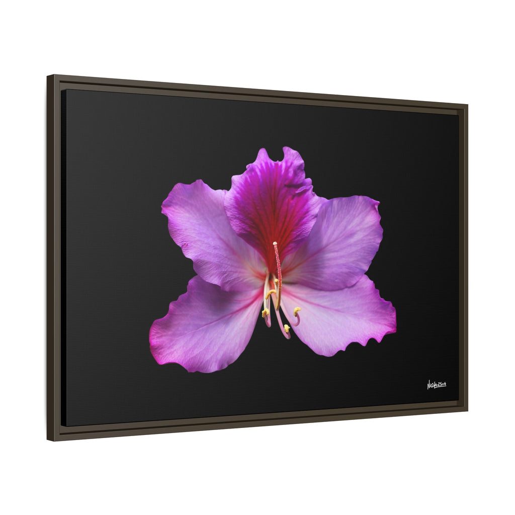 Listening Petals Framed - 36X24