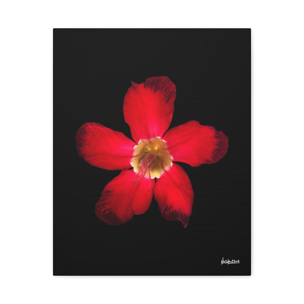 Passion in Bloom - 16X20