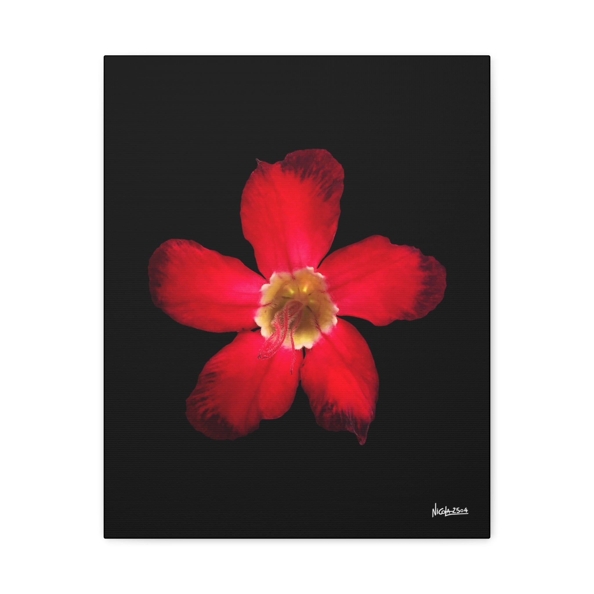 Passion in Bloom - 16X20