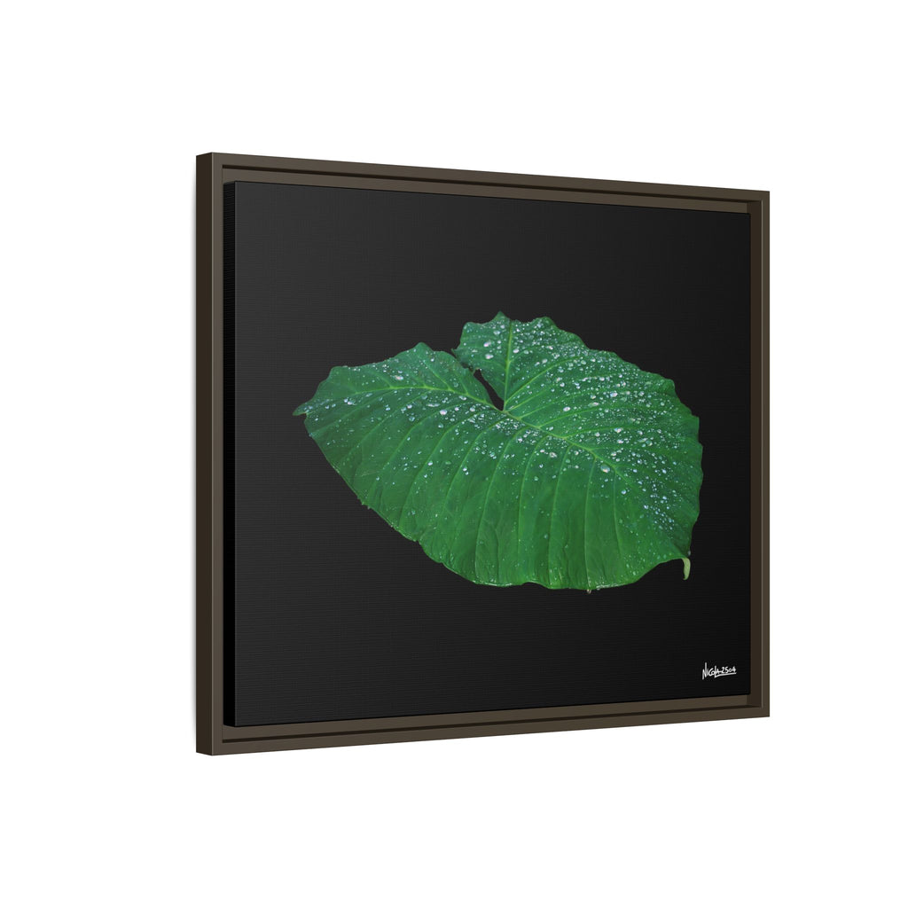 Blessing of the Rain Framed - 24X20