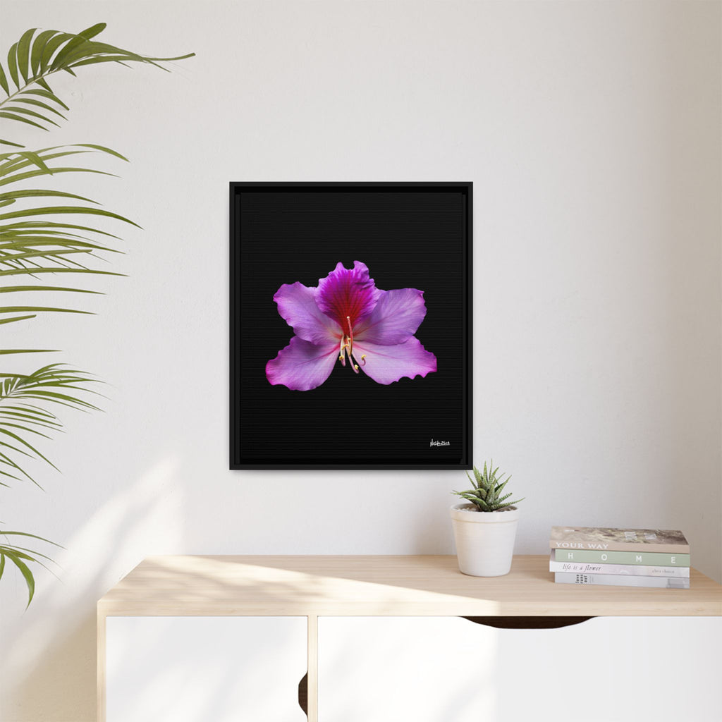 Listening Petals Framed - 20X24