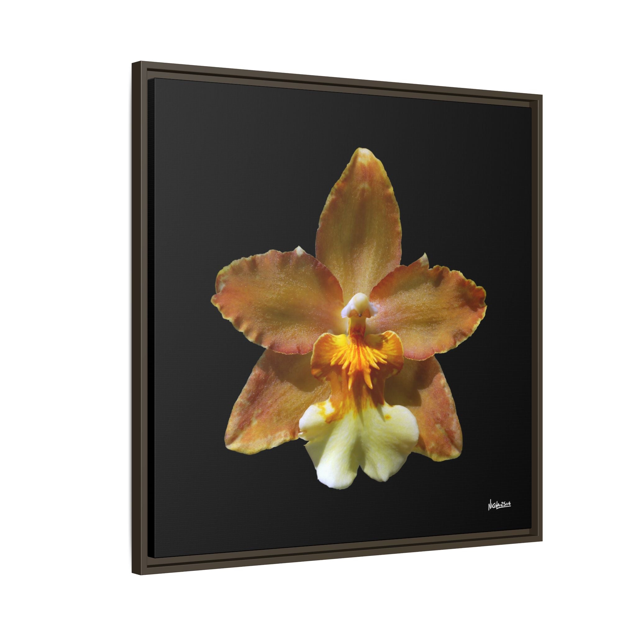 Golden Harmony Framed - 30X30
