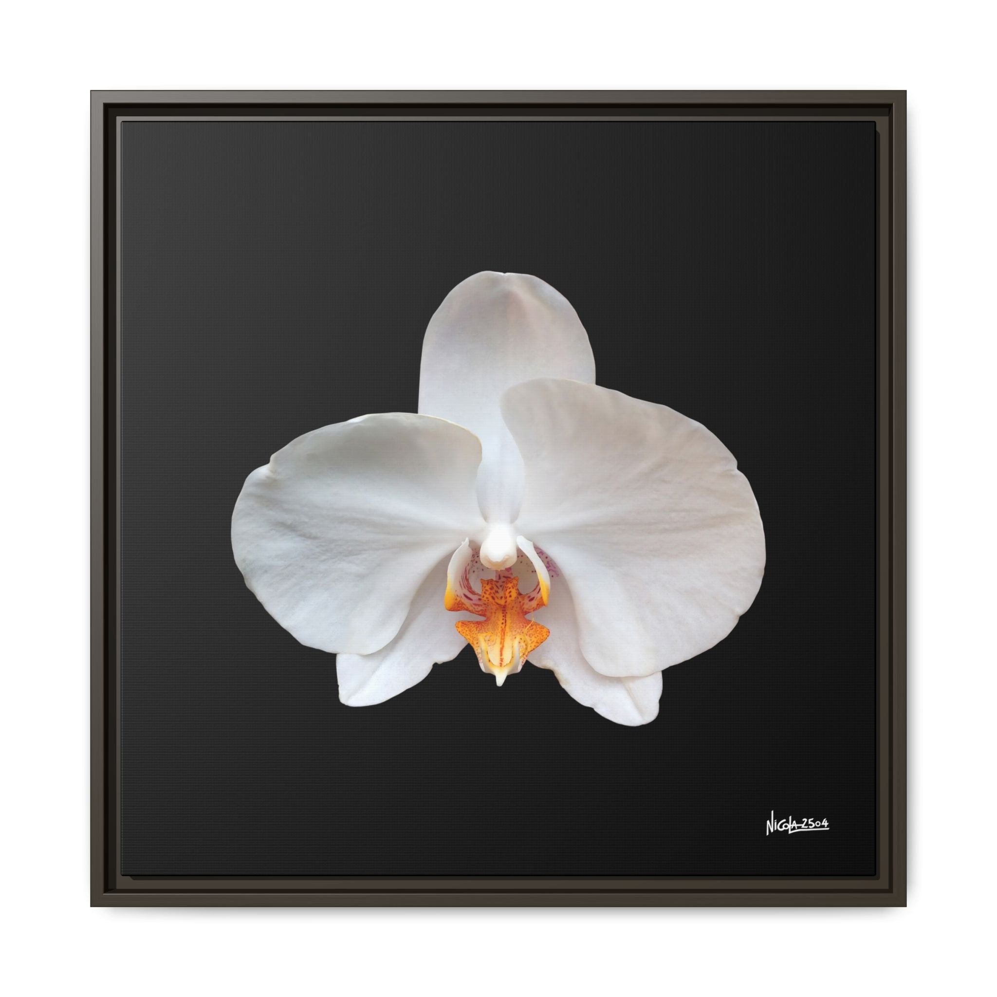 Whispers of the Unseen Framed - 24X24