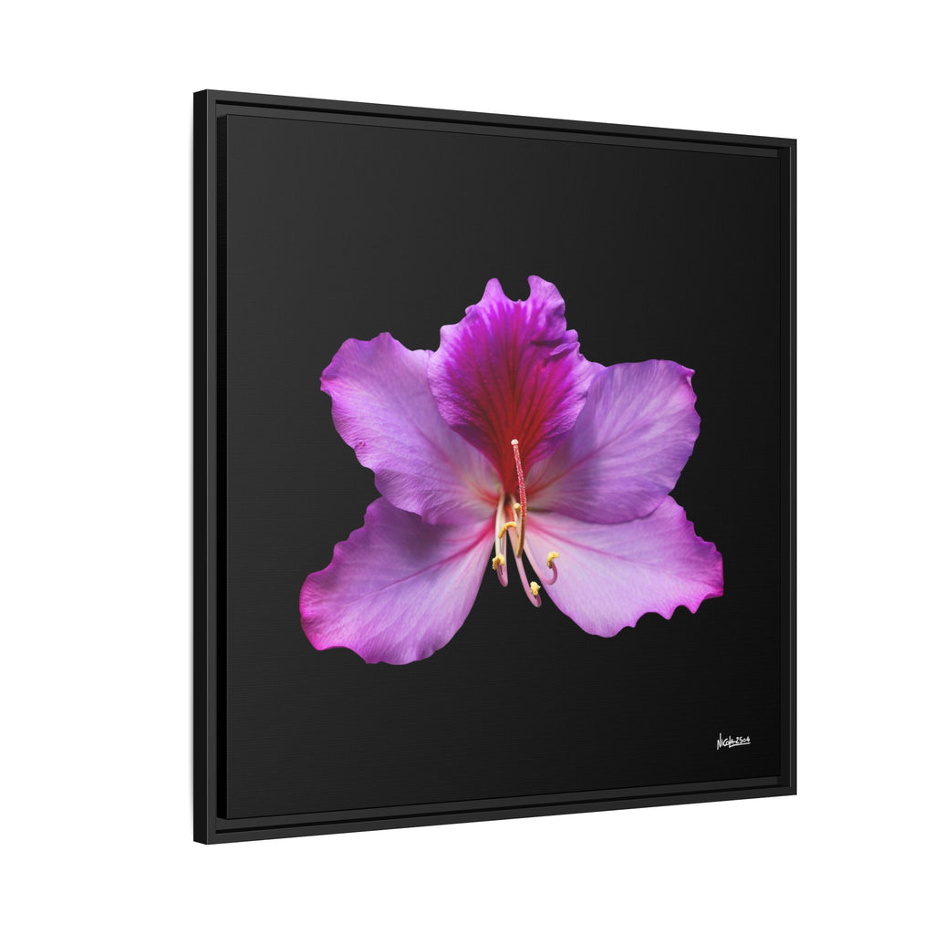 Listening Petals Framed - 30X30
