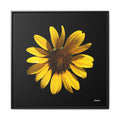 Radiant Inner Sun Framed - 30X30