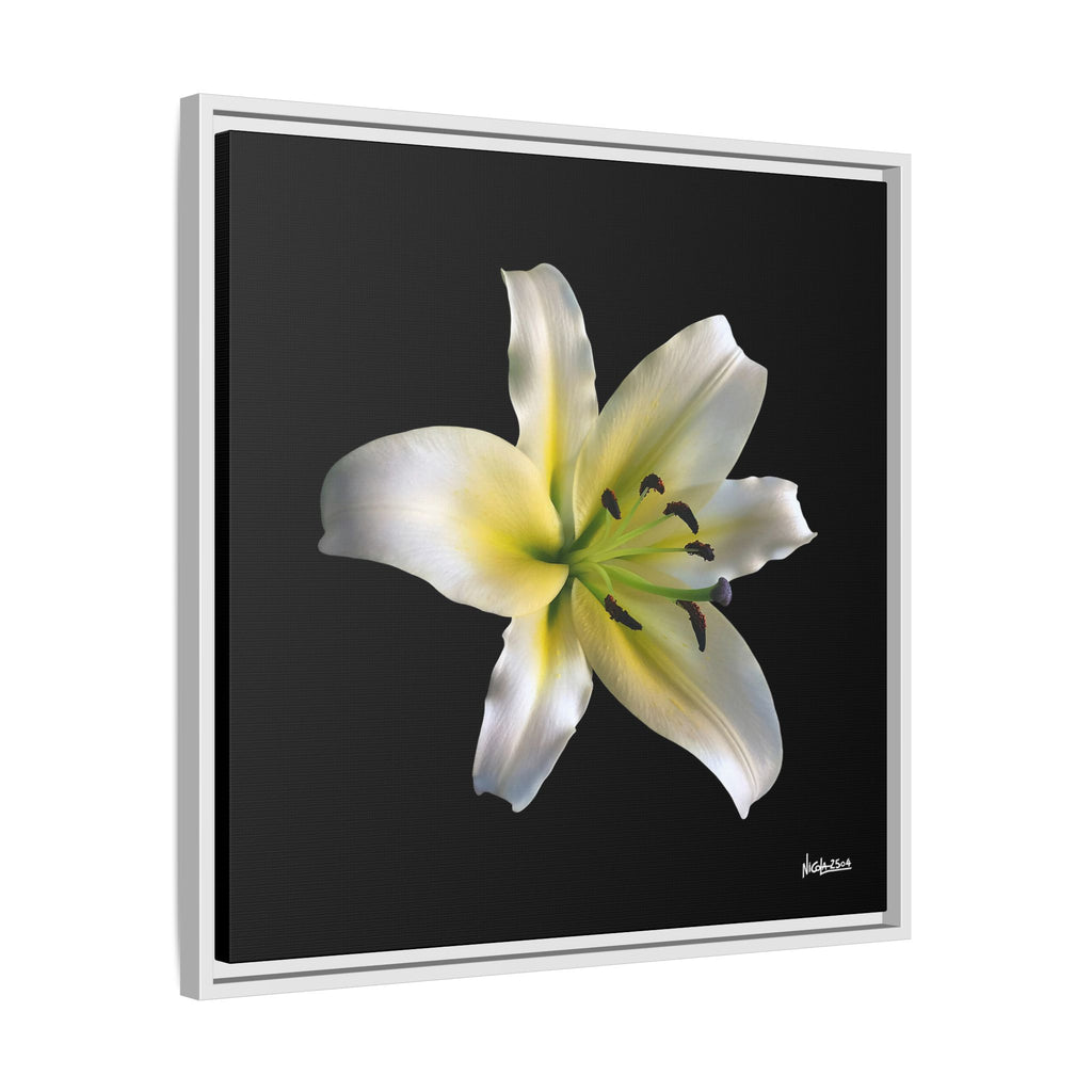 Nature's Paradise Framed - 24X24