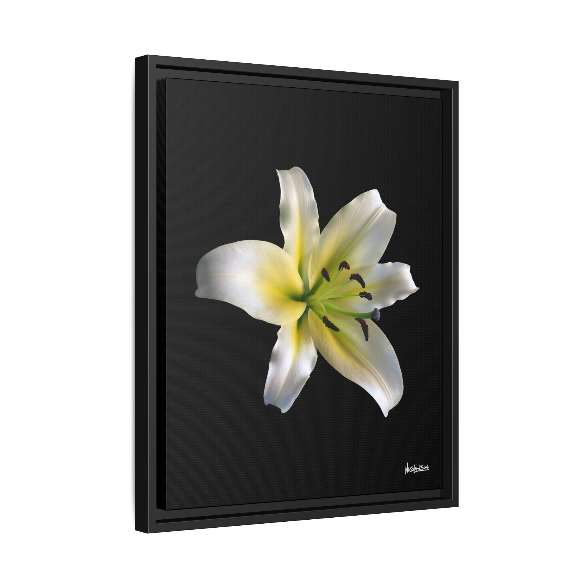 Nature's Paradise Framed - 16X20