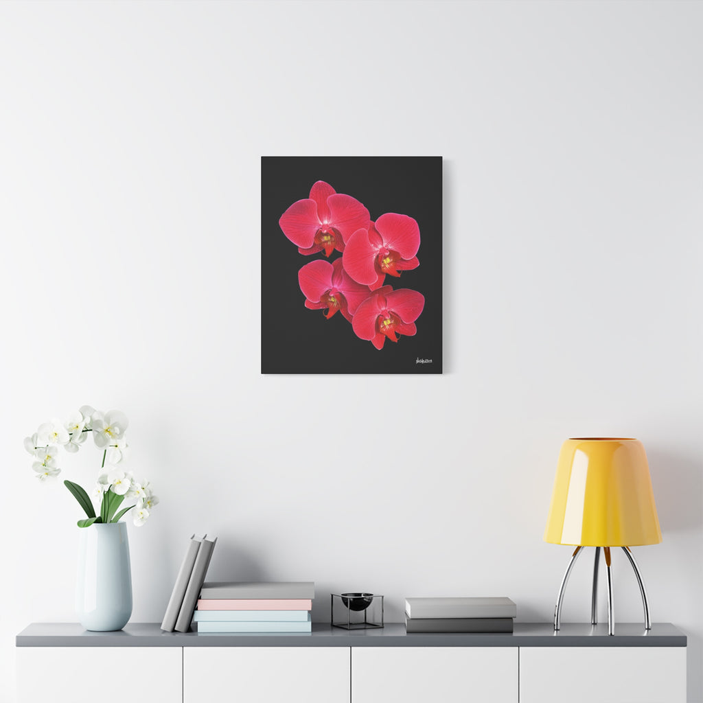 Legacy in Bloom - 20X24