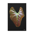 Heart of Earthlight - 24X36