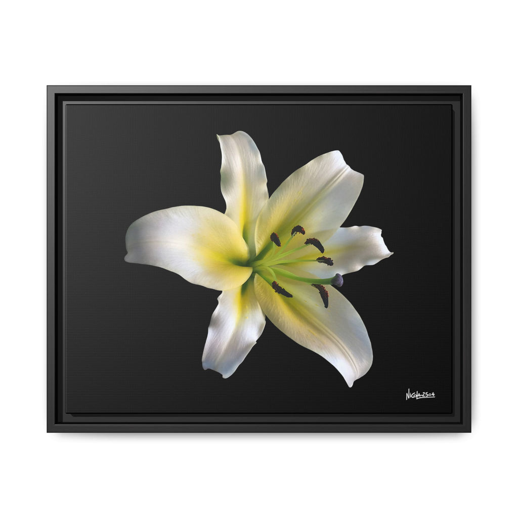 Nature's Paradise Framed - 20X16
