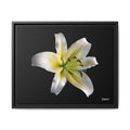 Nature's Paradise Framed - 20X16