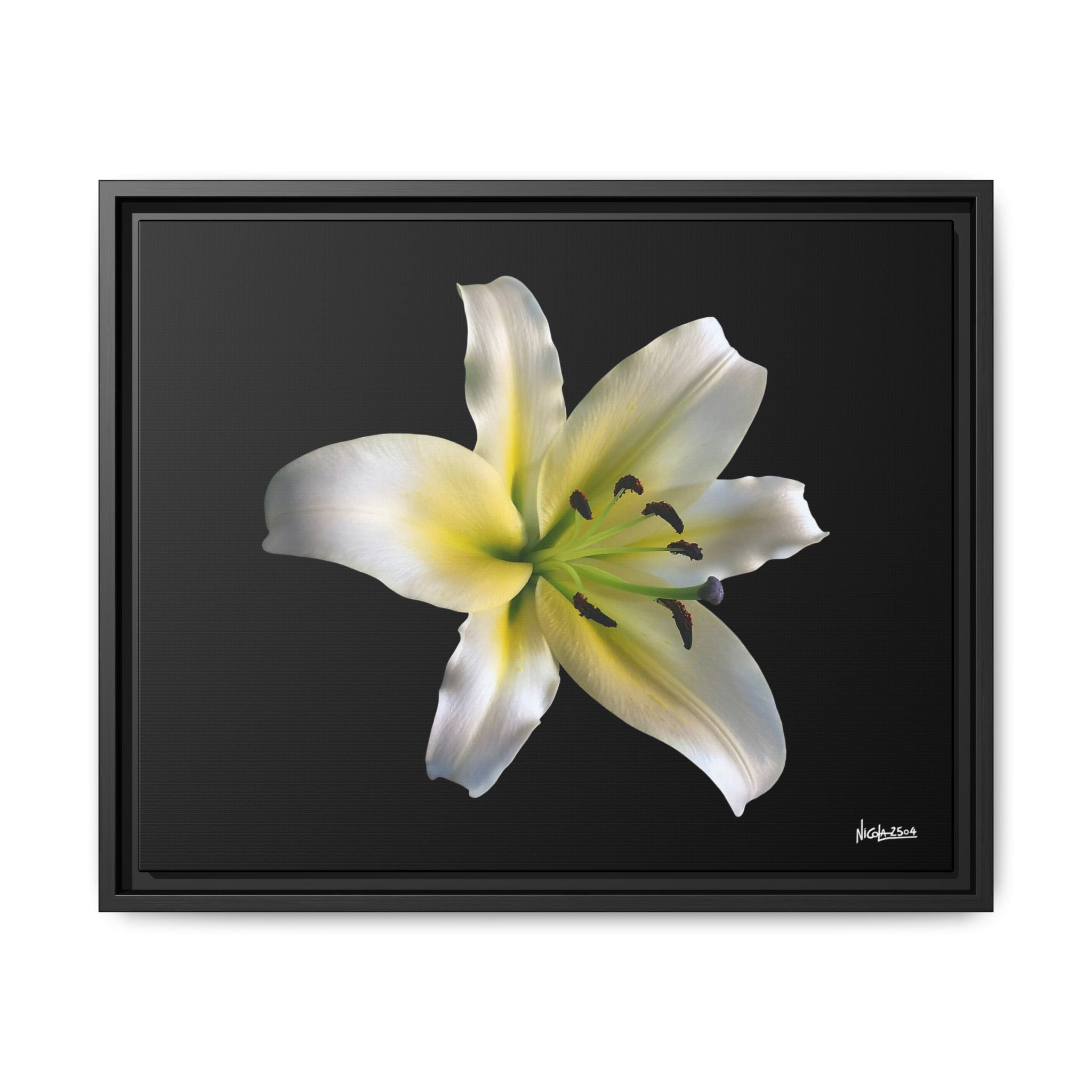 Nature's Paradise Framed - 20X16