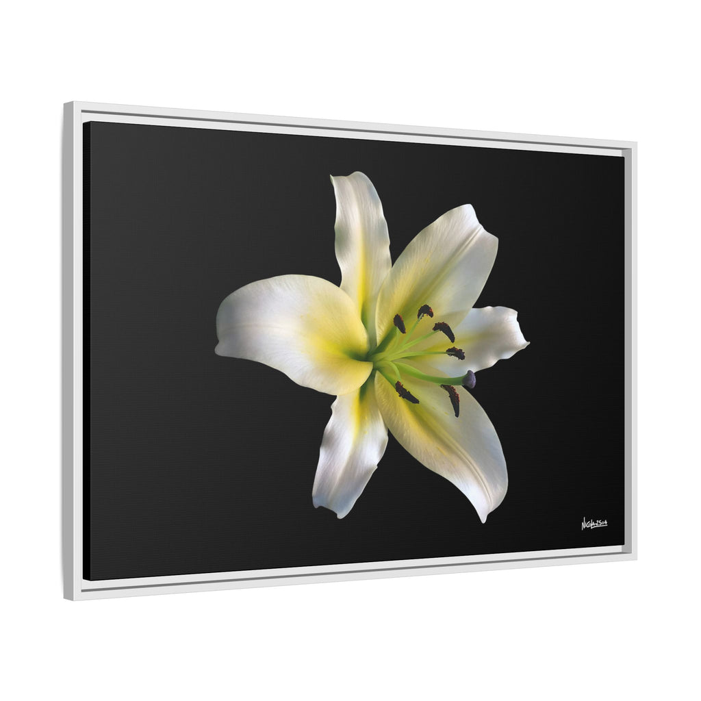 Nature's Paradise Framed - 36X24