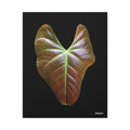 Heart of Earthlight - 16X20
