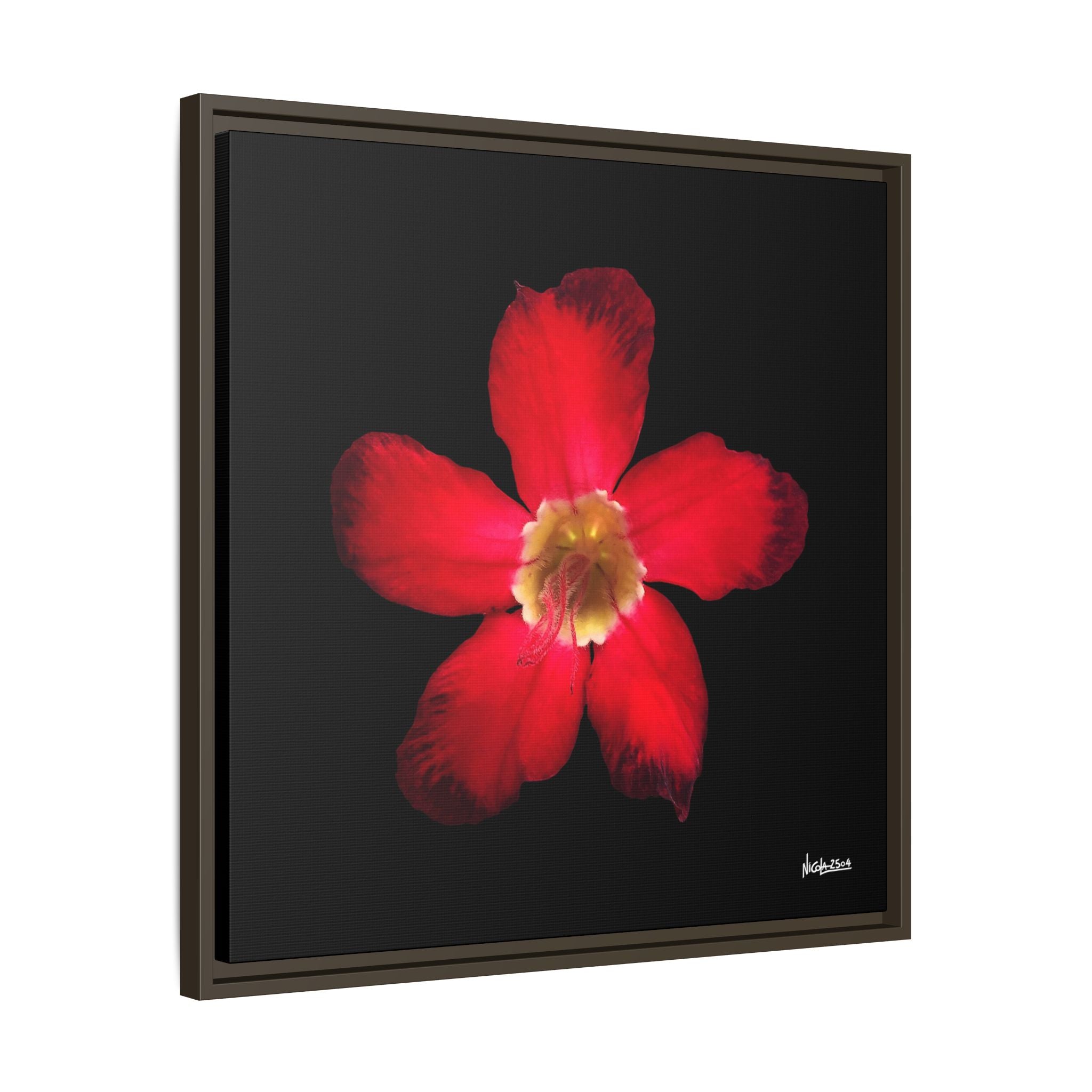 Passion in Bloom Framed - 24X24