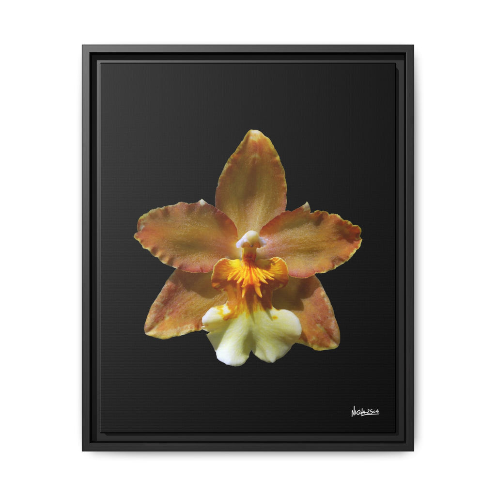 Golden Harmony Framed - 16X20