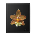 Golden Harmony Framed - 16X20