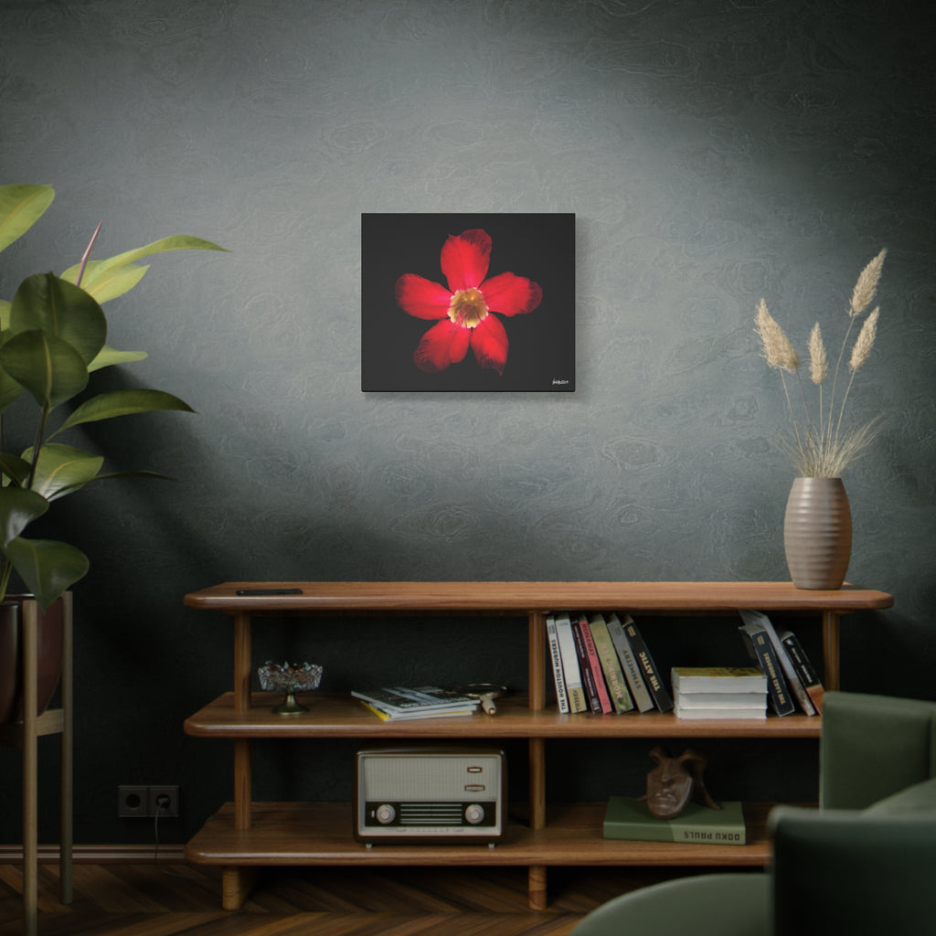 Passion in Bloom - 24X20