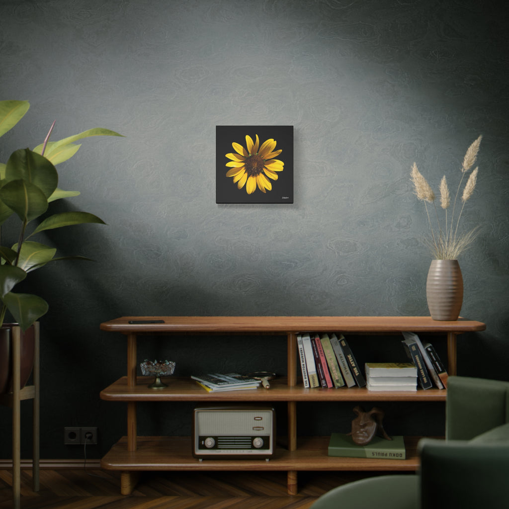 Radiant Inner Sun - 16X16