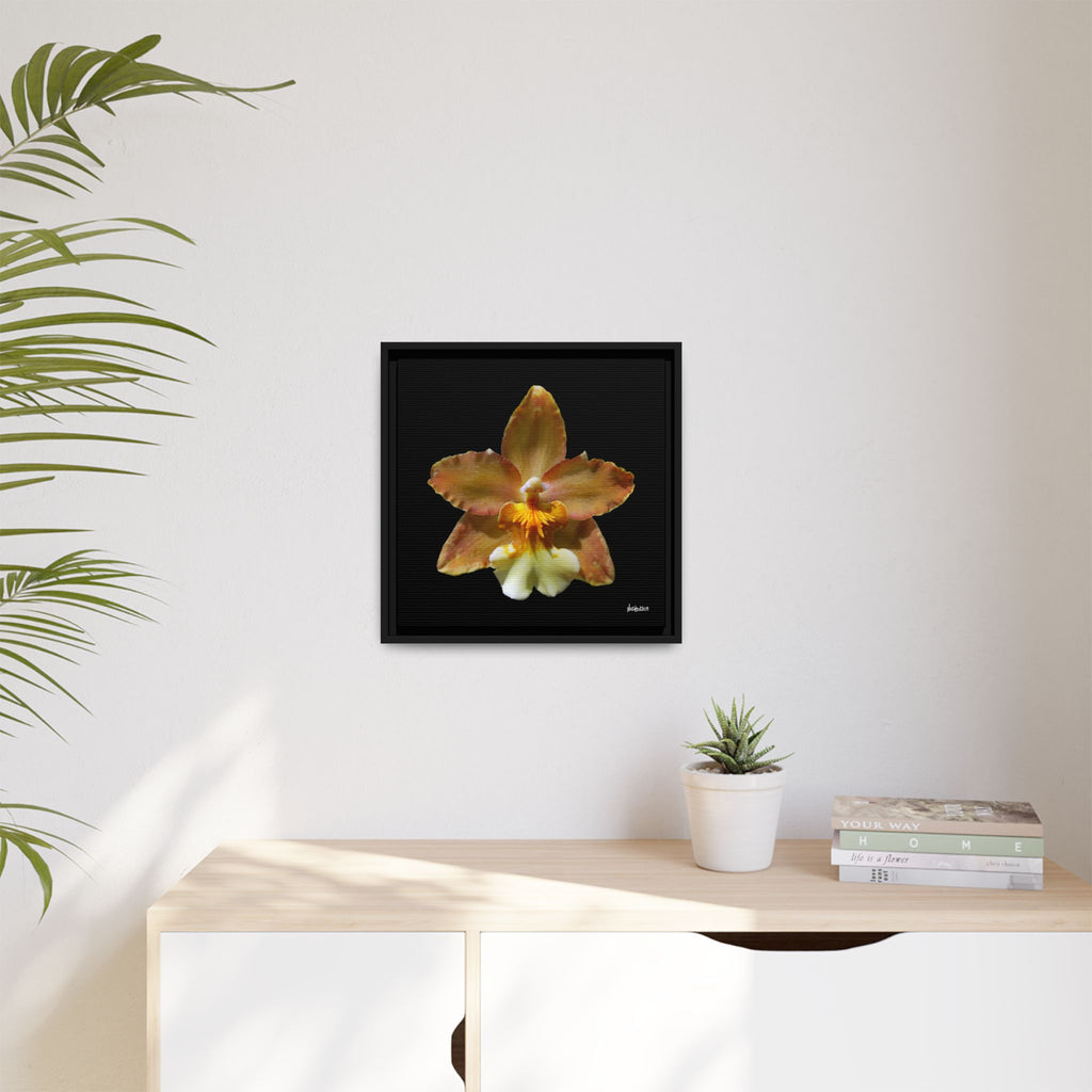 Golden Harmony Framed - 16X16