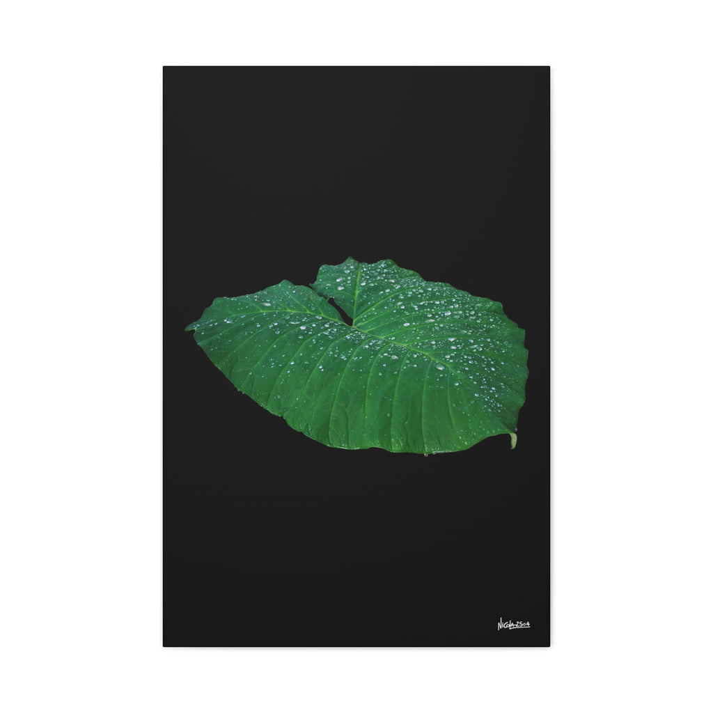 Blessing of the Rain - 24X36