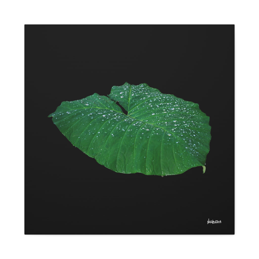 Blessing of the Rain - 30X30