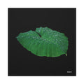 Blessing of the Rain - 30X30