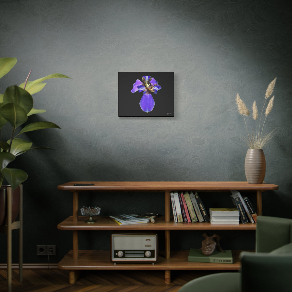 Gift of the Wait - 20X16