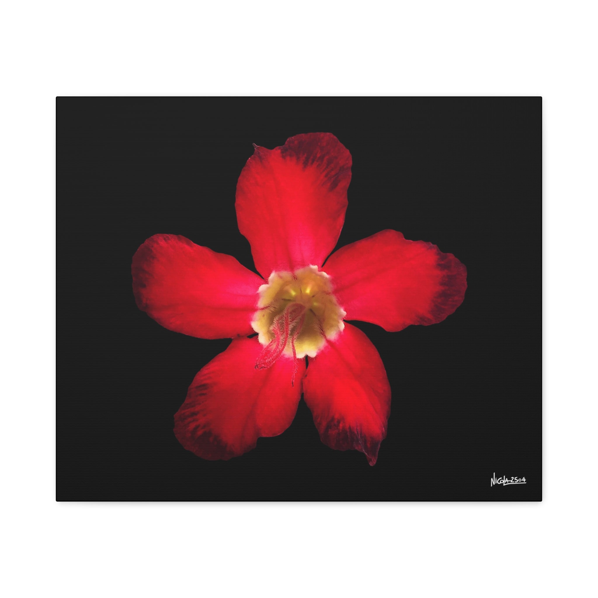 Passion in Bloom - 24X20
