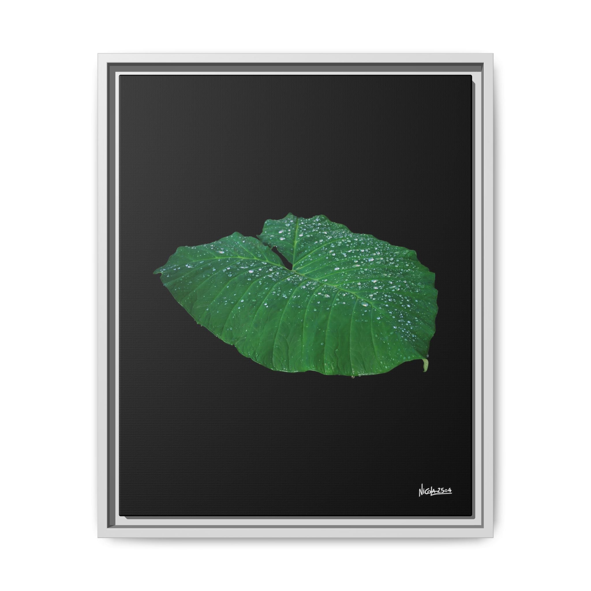 Blessing of the Rain Framed - 16X20