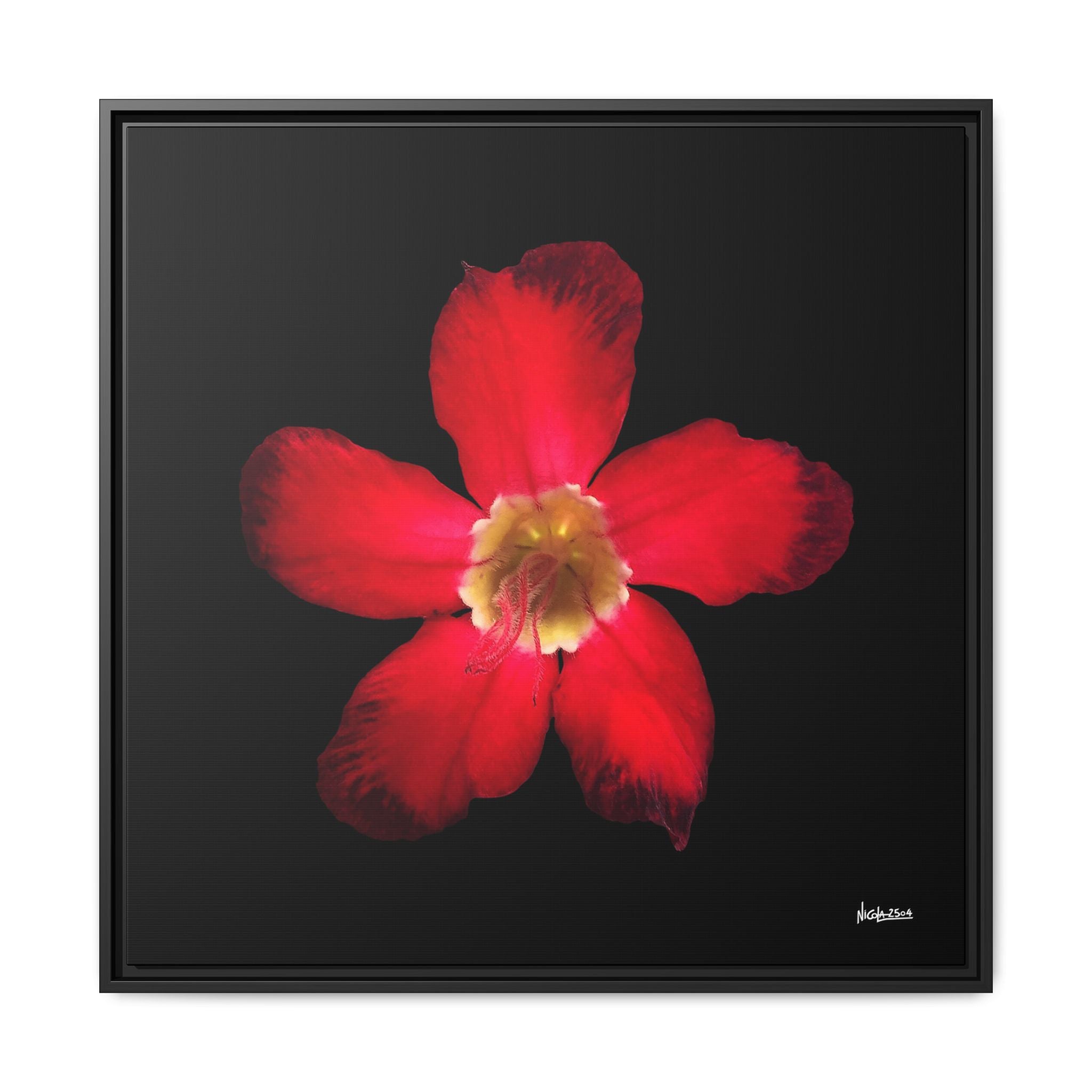 Passion in Bloom Framed - 30X30
