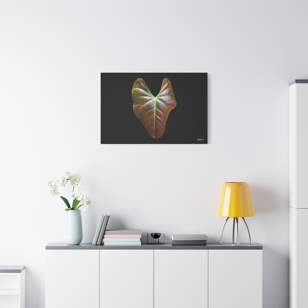 Heart of Earthlight - 36X24
