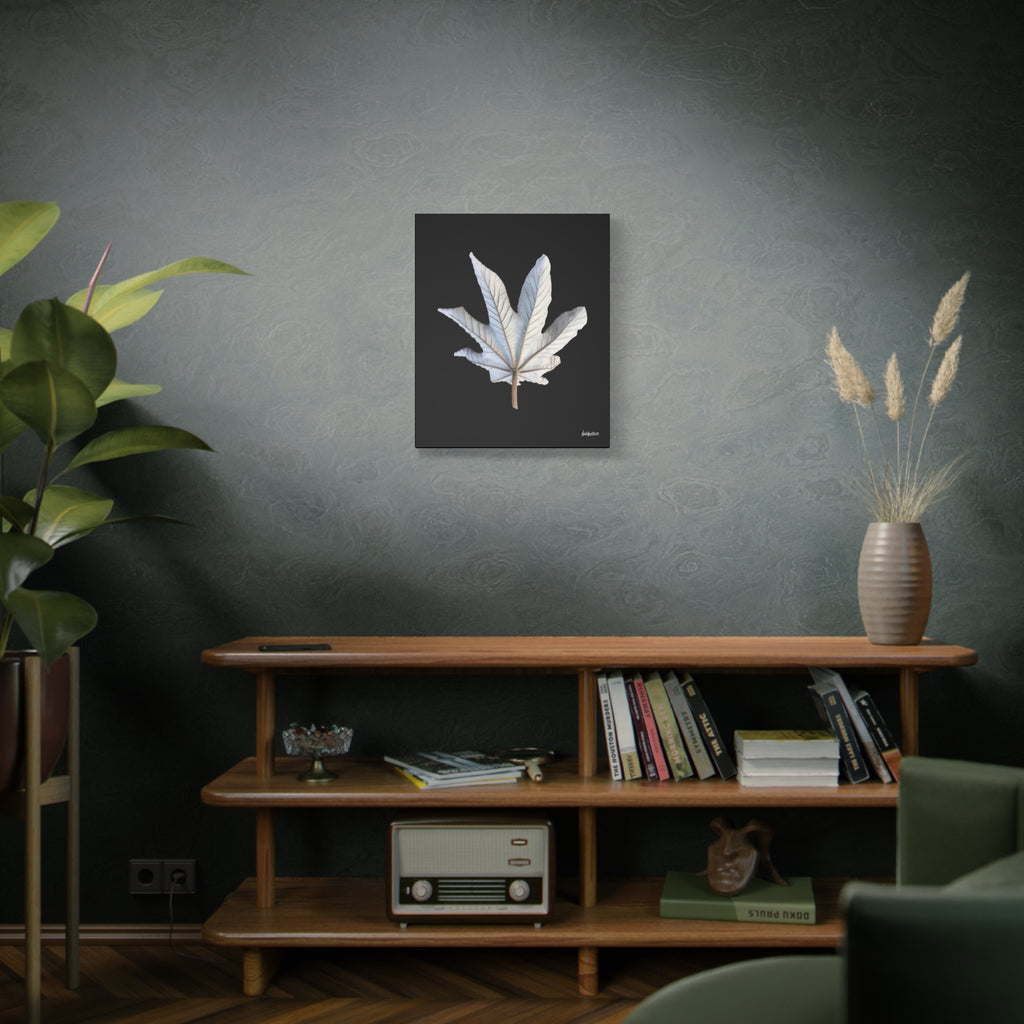 Ivory Solitude - 20X24