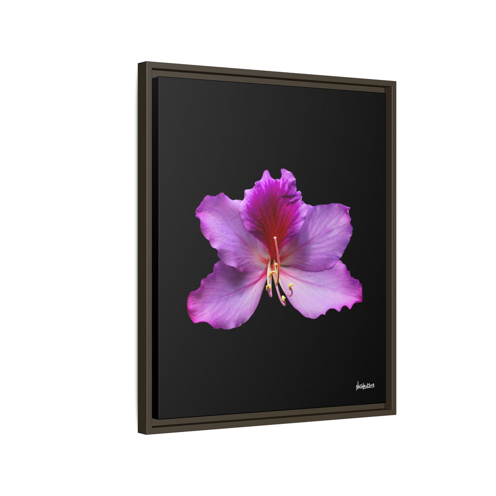 Listening Petals Framed - 20X24