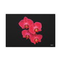 Legacy in Bloom - 36X24