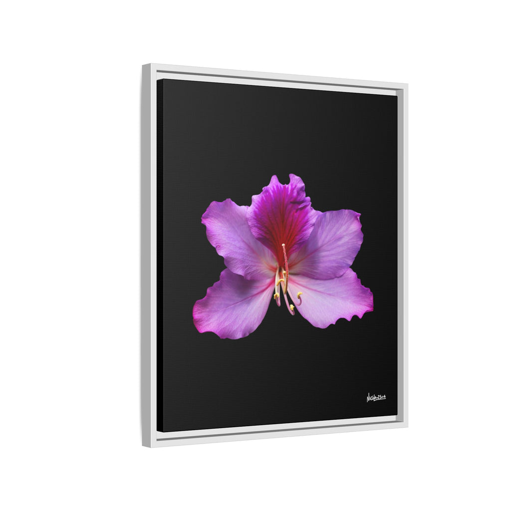 Listening Petals Framed - 20X24
