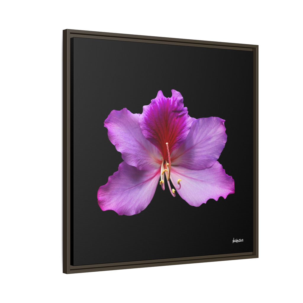 Listening Petals Framed - 30X30