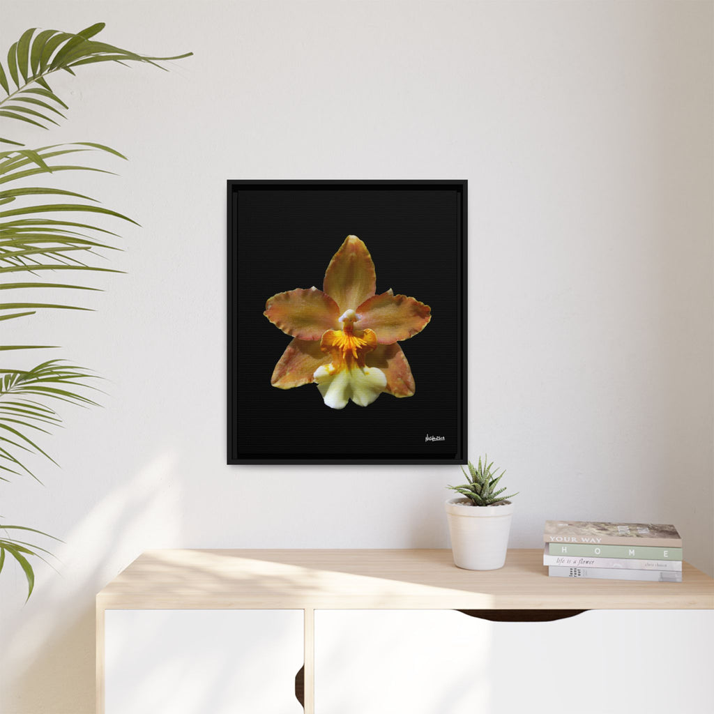 Golden Harmony Framed - 20X24
