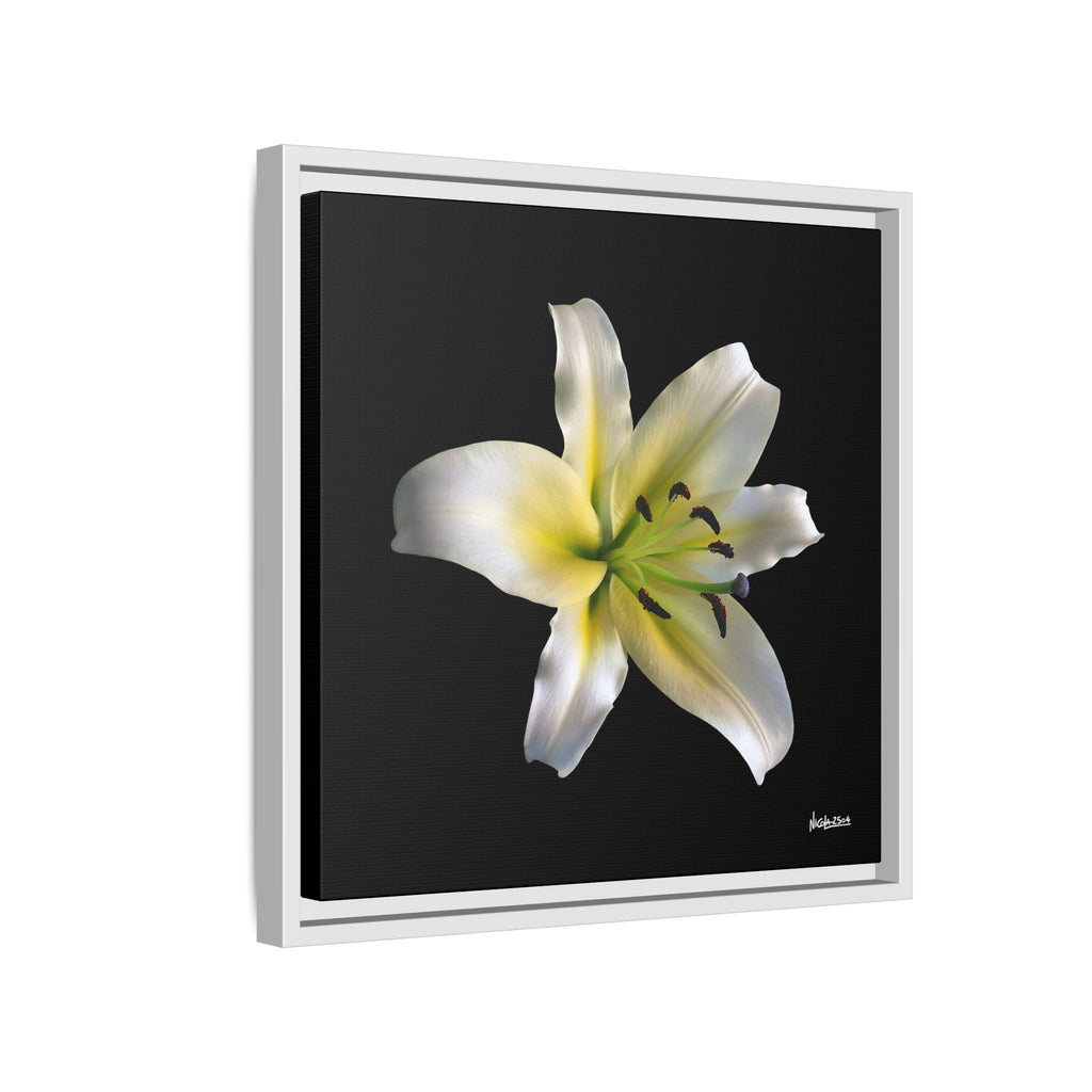 Nature's Paradise Framed - 16X16