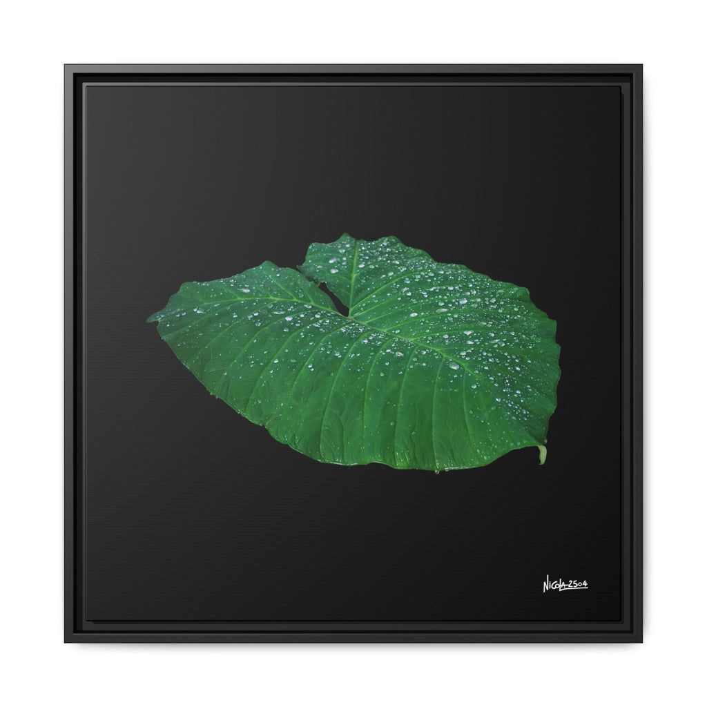 Blessing of the Rain Framed - 24X24