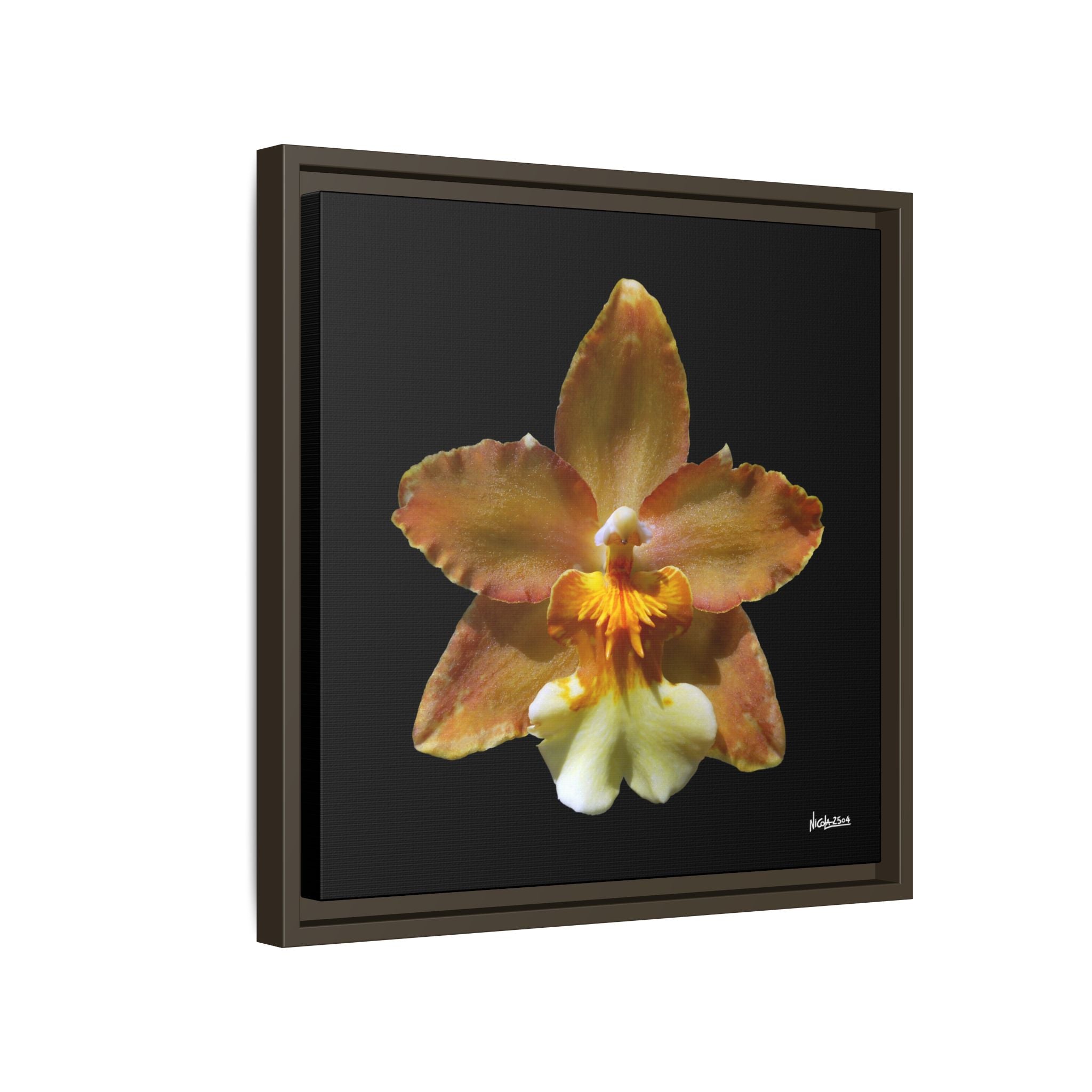 Golden Harmony Framed - 16X16