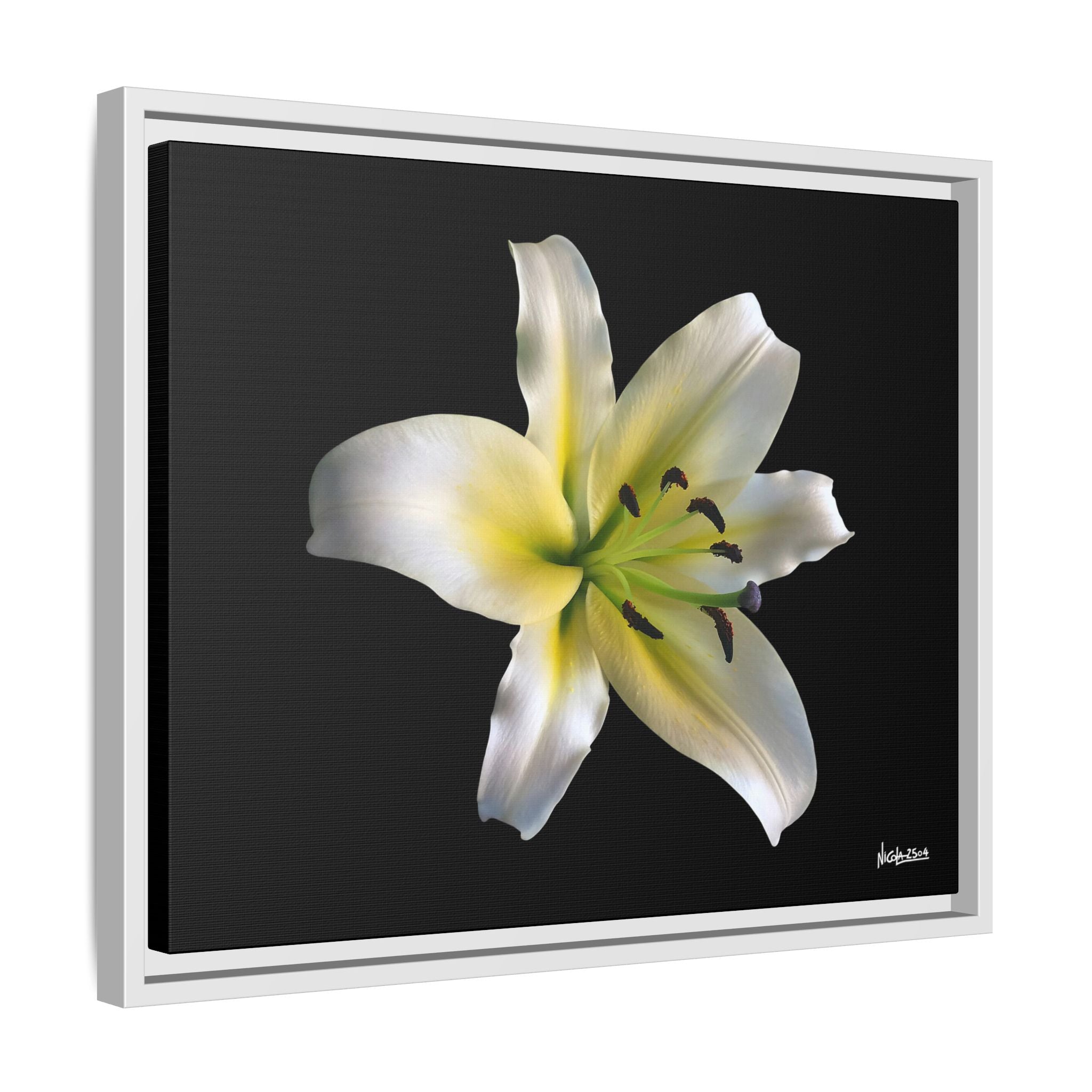 Nature's Paradise Framed - 20X16