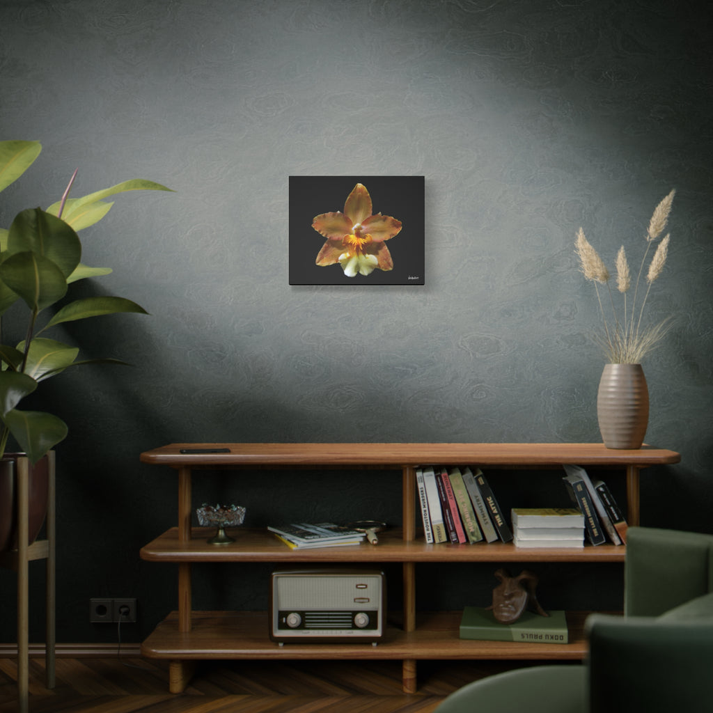 Golden Harmony - 20X16